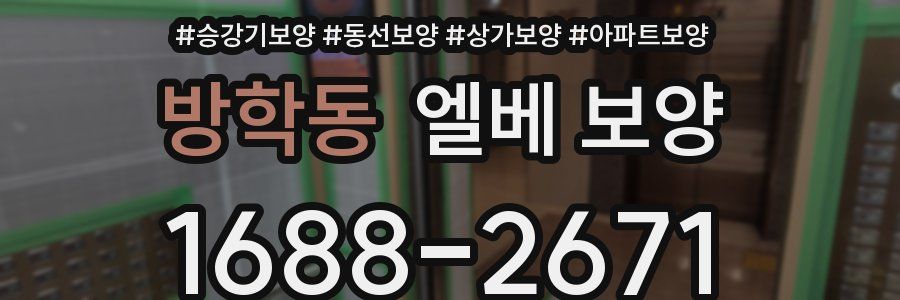 방학동 엘베 보양