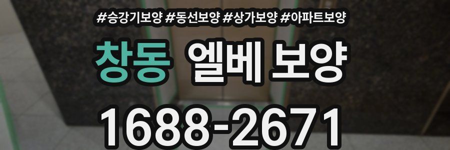 창동 엘베 보양