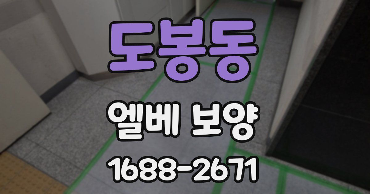 도봉동 엘베 보양