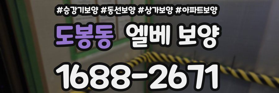 도봉동 엘베 보양