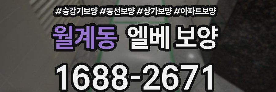 월계동 엘베 보양