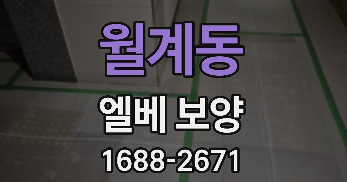 월계동 엘베 보양