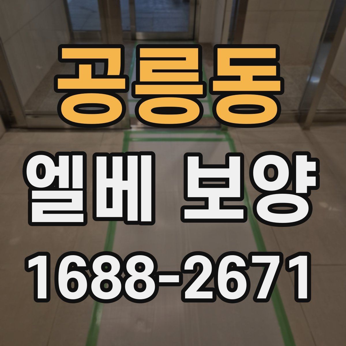 공릉동 엘베 보양 공사 전후 꼭 확인할 구역 정리