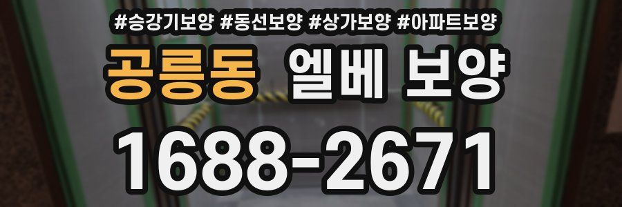 공릉동 엘베 보양