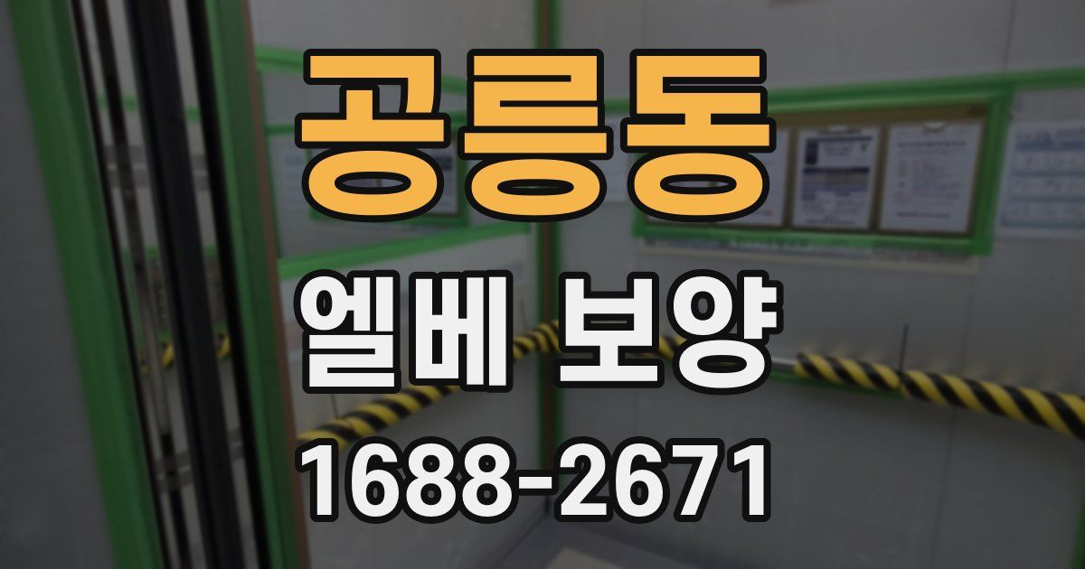 공릉동 엘베 보양