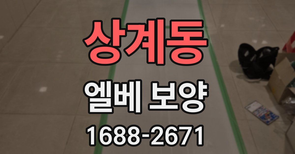 상계동 엘베 보양
