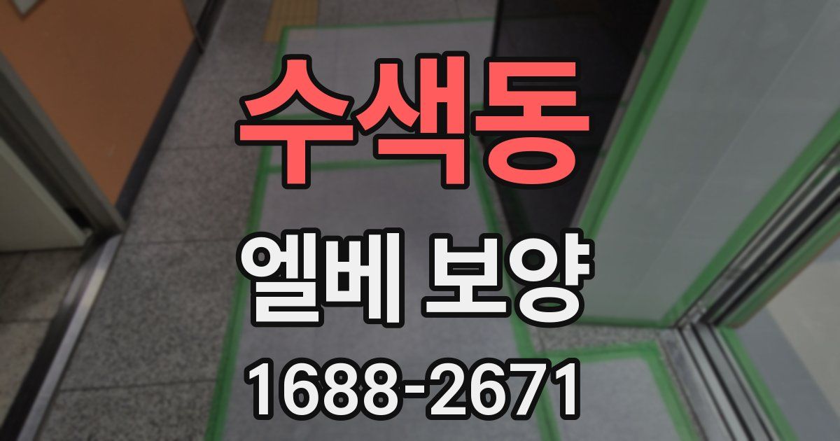 수색동 엘베 보양