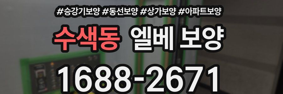 수색동 엘베 보양