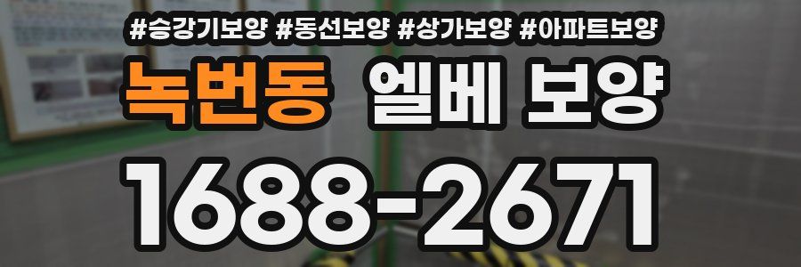 녹번동 엘베 보양