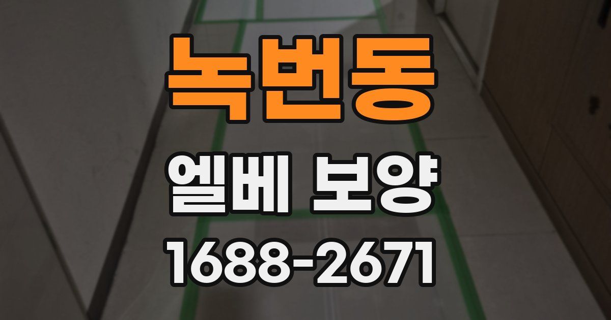 녹번동 엘베 보양
