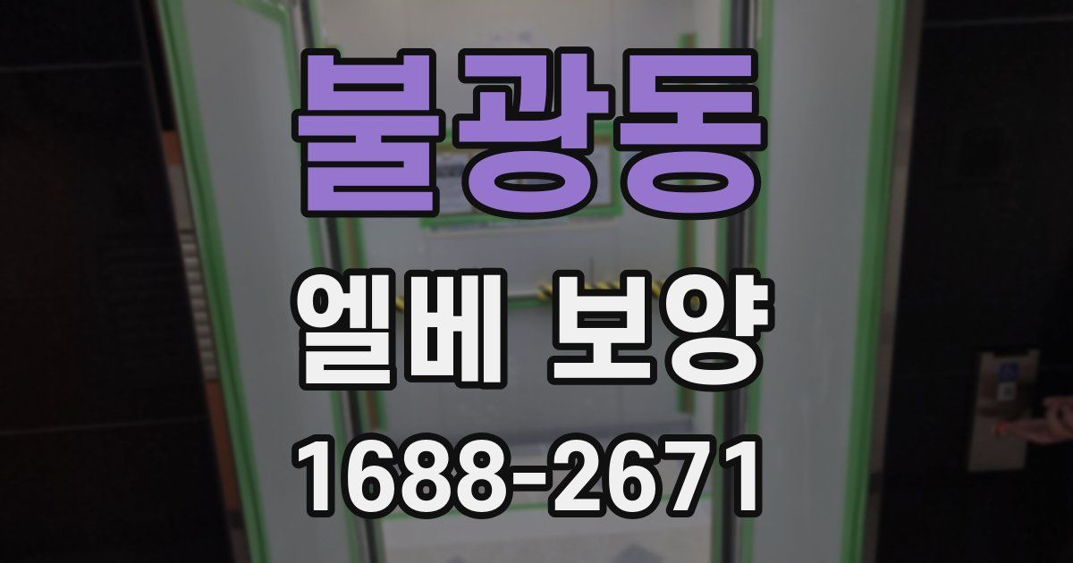 불광동 엘베 보양