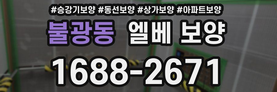 불광동 엘베 보양