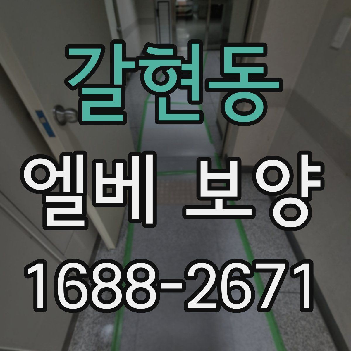 갈현동 엘베 보양 층간 이동이 많은 현장에서 손상 줄이는 팁