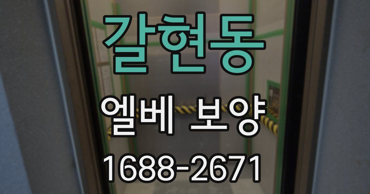 갈현동 엘베 보양