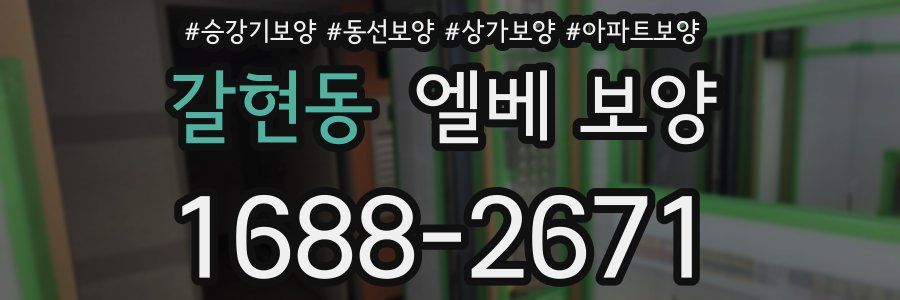 갈현동 엘베 보양