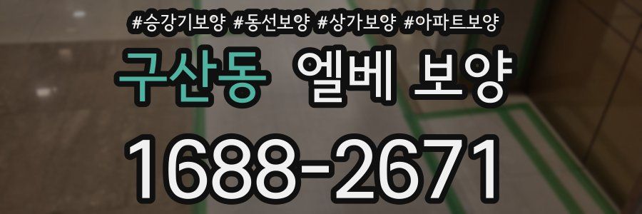 구산동 엘베 보양