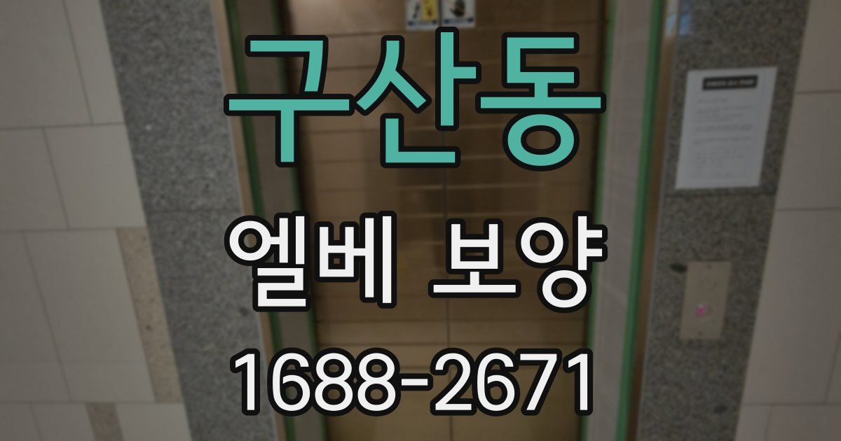 구산동 엘베 보양