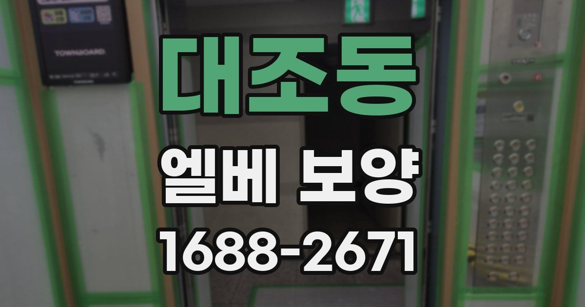 대조동 엘베 보양