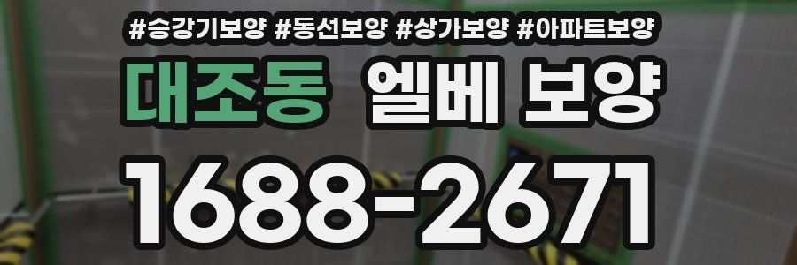 대조동 엘베 보양
