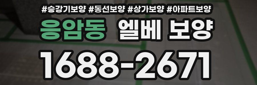 응암동 엘베 보양