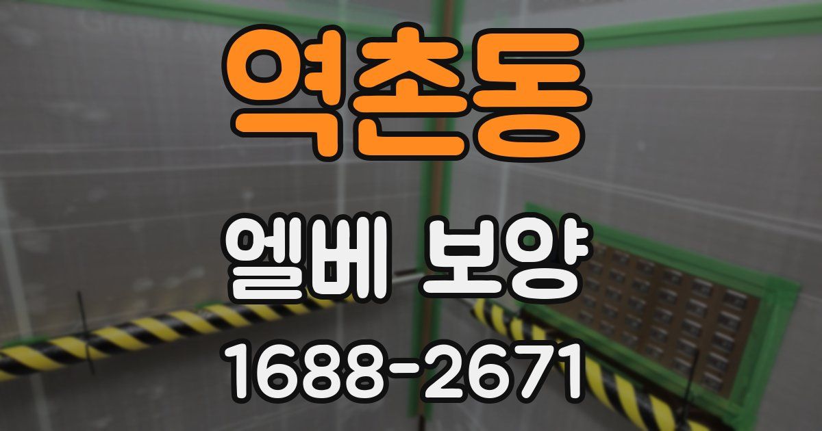 역촌동 엘베 보양