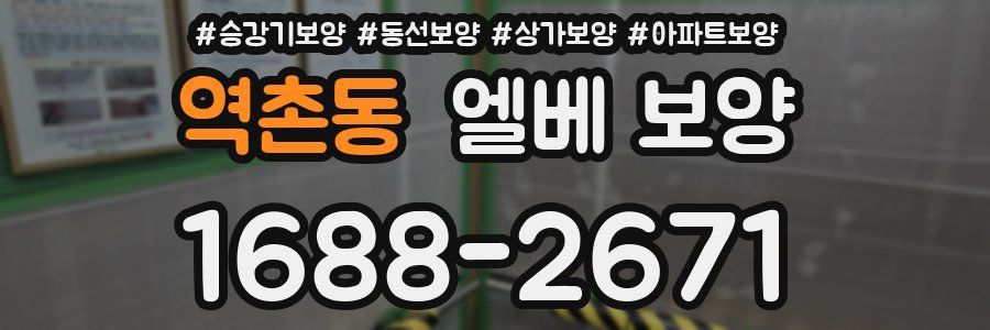 역촌동 엘베 보양