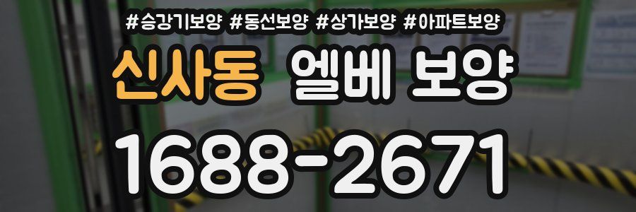 신사동 엘베 보양