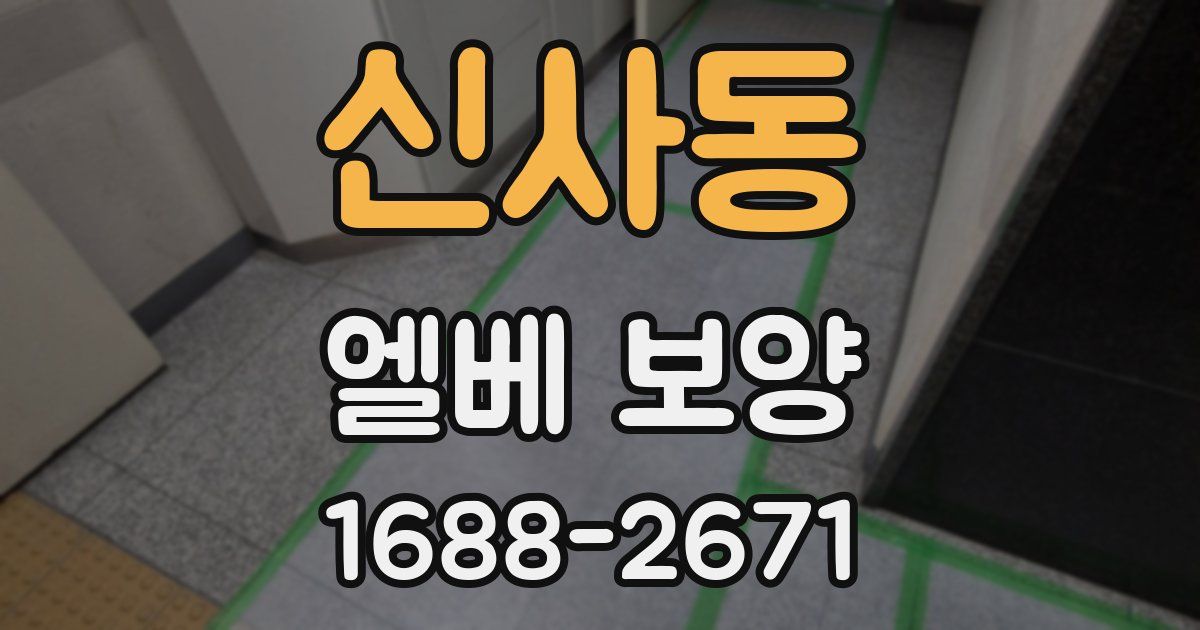 신사동 엘베 보양