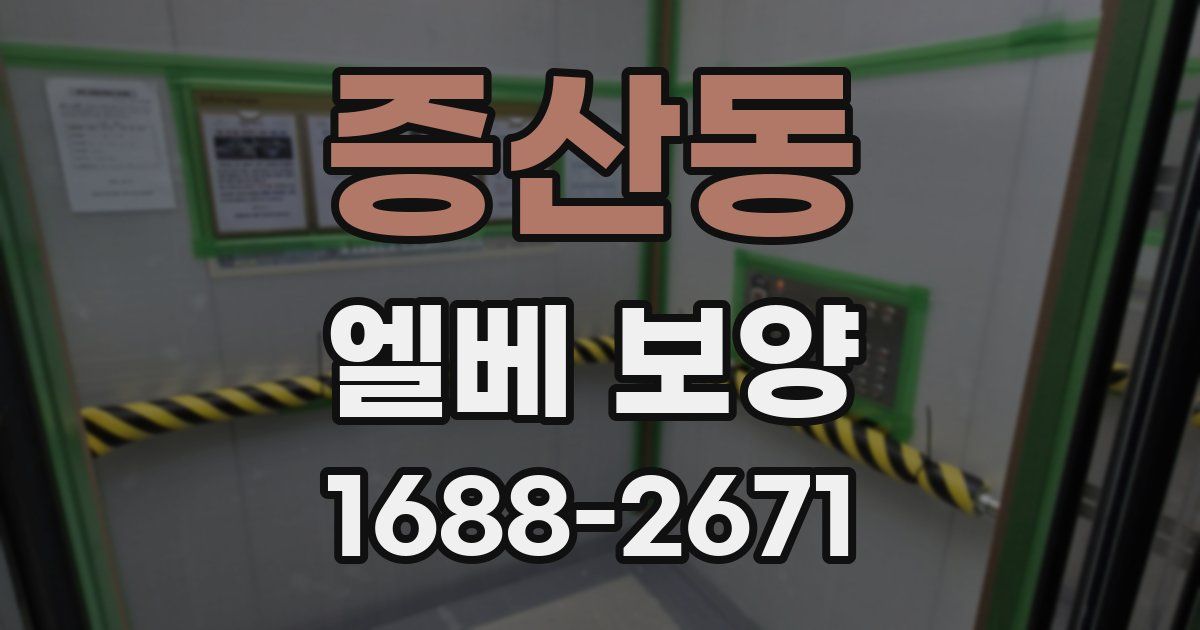 증산동 엘베 보양