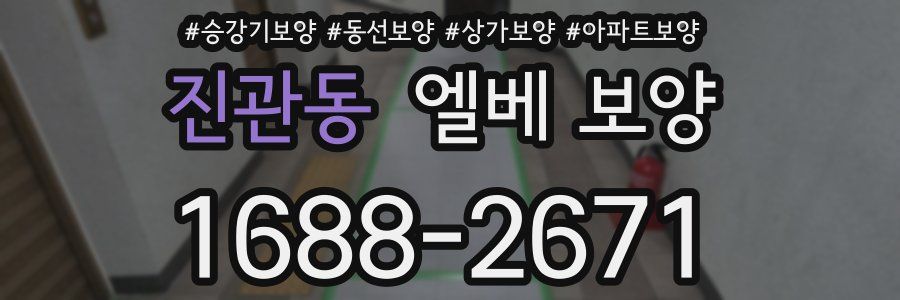 진관동 엘베 보양