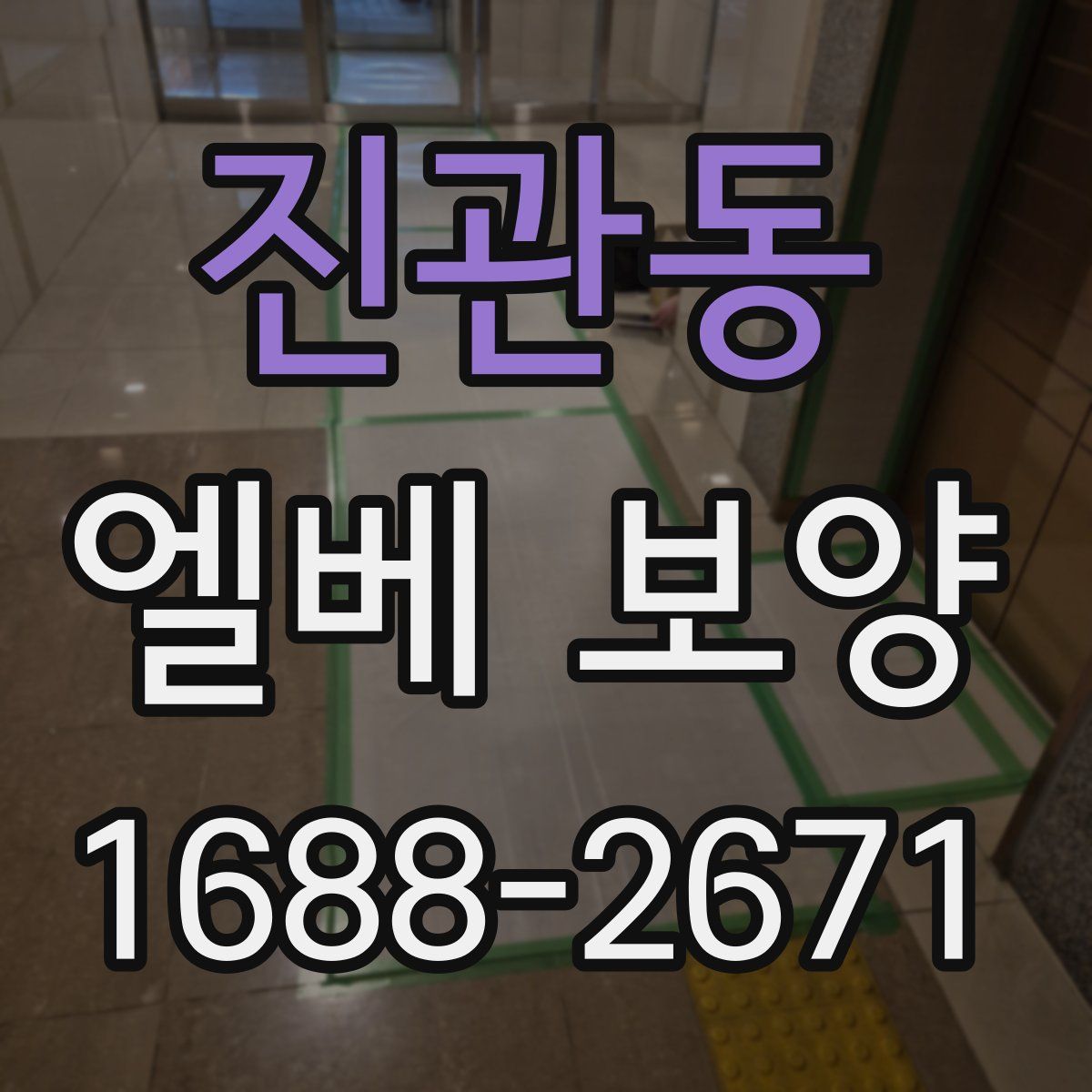 진관동 엘베 보양