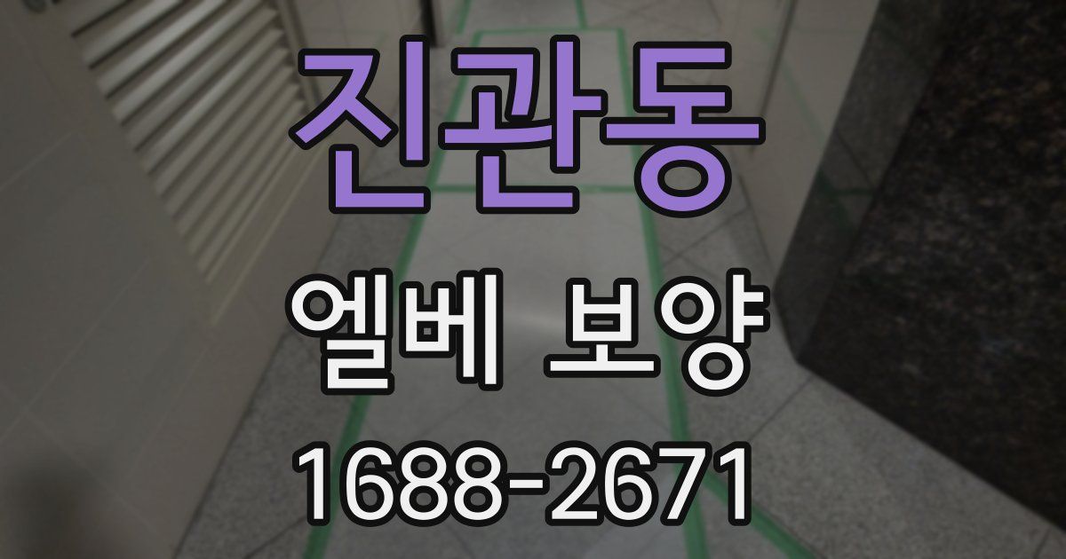 진관동 엘베 보양