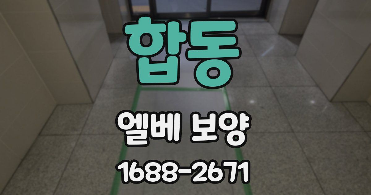 합동 엘베 보양