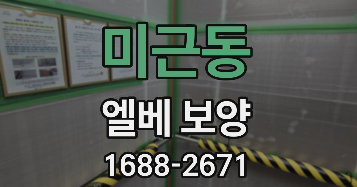 미근동 엘베 보양