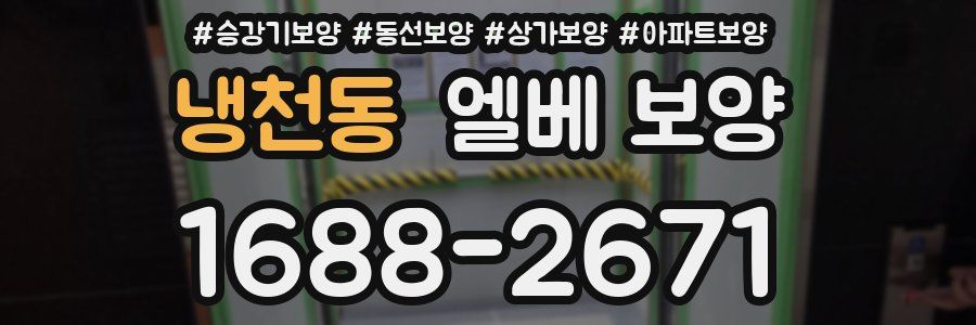 냉천동 엘베 보양