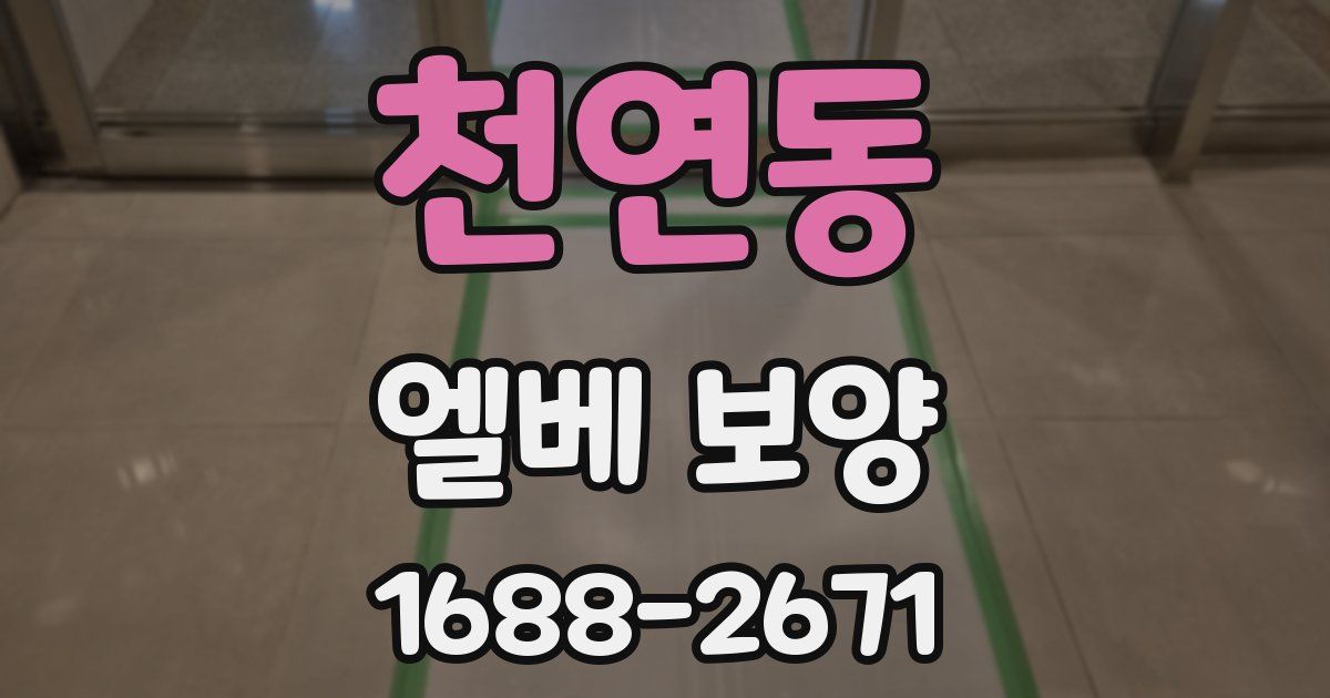 천연동 엘베 보양