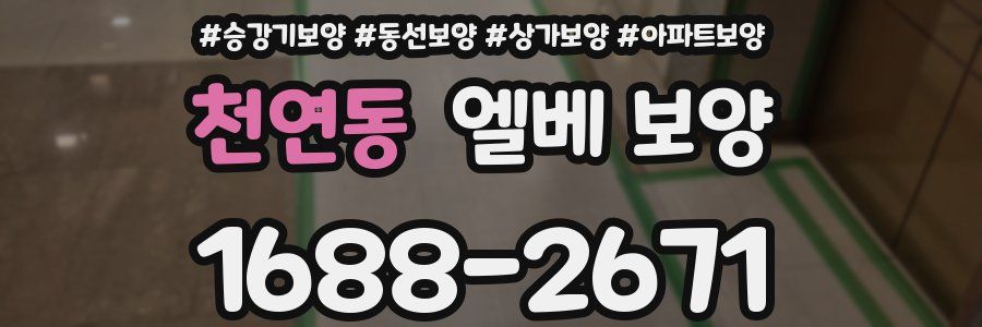 천연동 엘베 보양