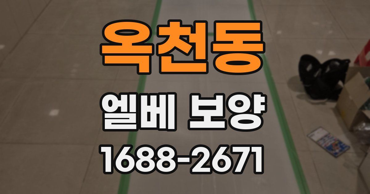 옥천동 엘베 보양