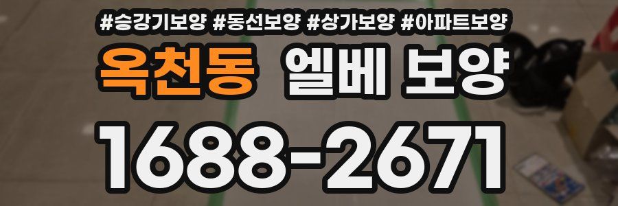 옥천동 엘베 보양