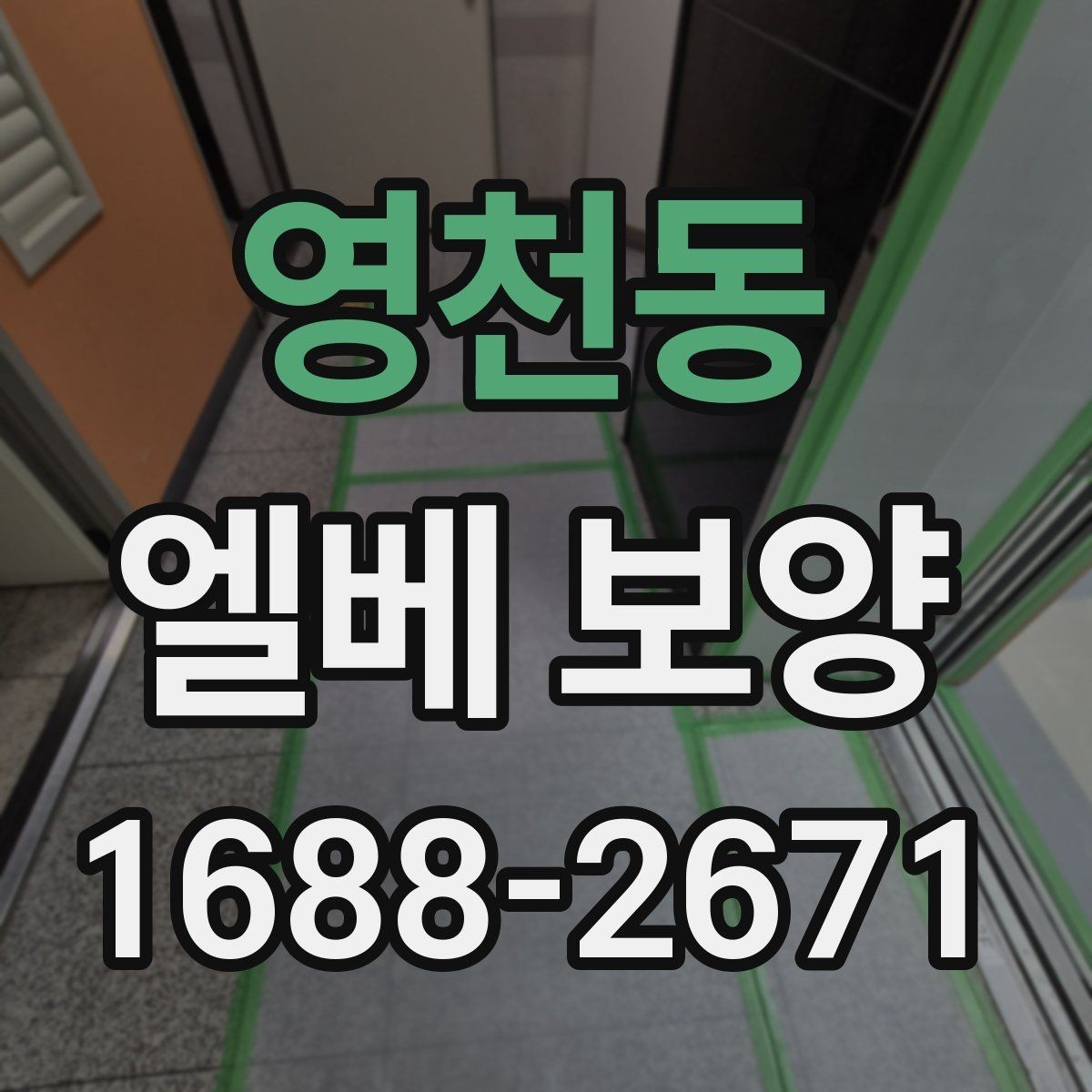 영천동 엘베 보양 유리 패널 있는 승강기에서 확인할 점