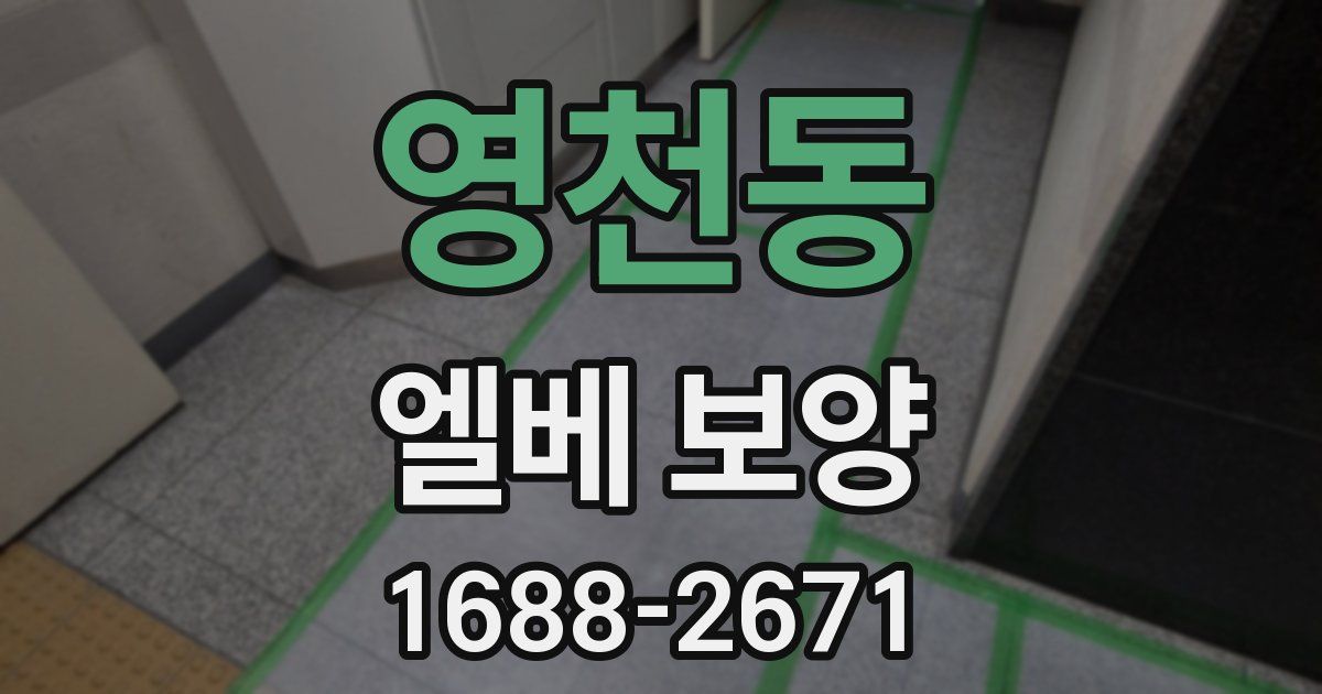 영천동 엘베 보양