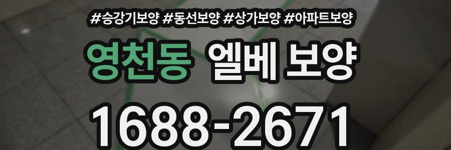 영천동 엘베 보양