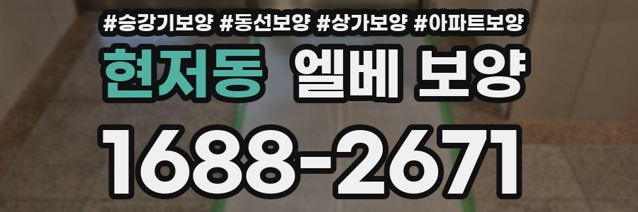 현저동 엘베 보양