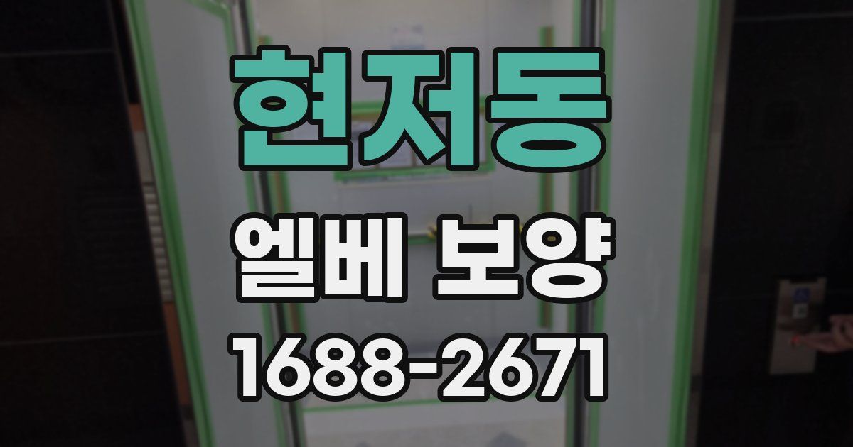 현저동 엘베 보양