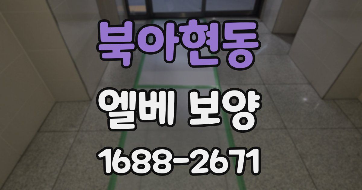 북아현동 엘베 보양
