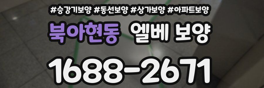 북아현동 엘베 보양