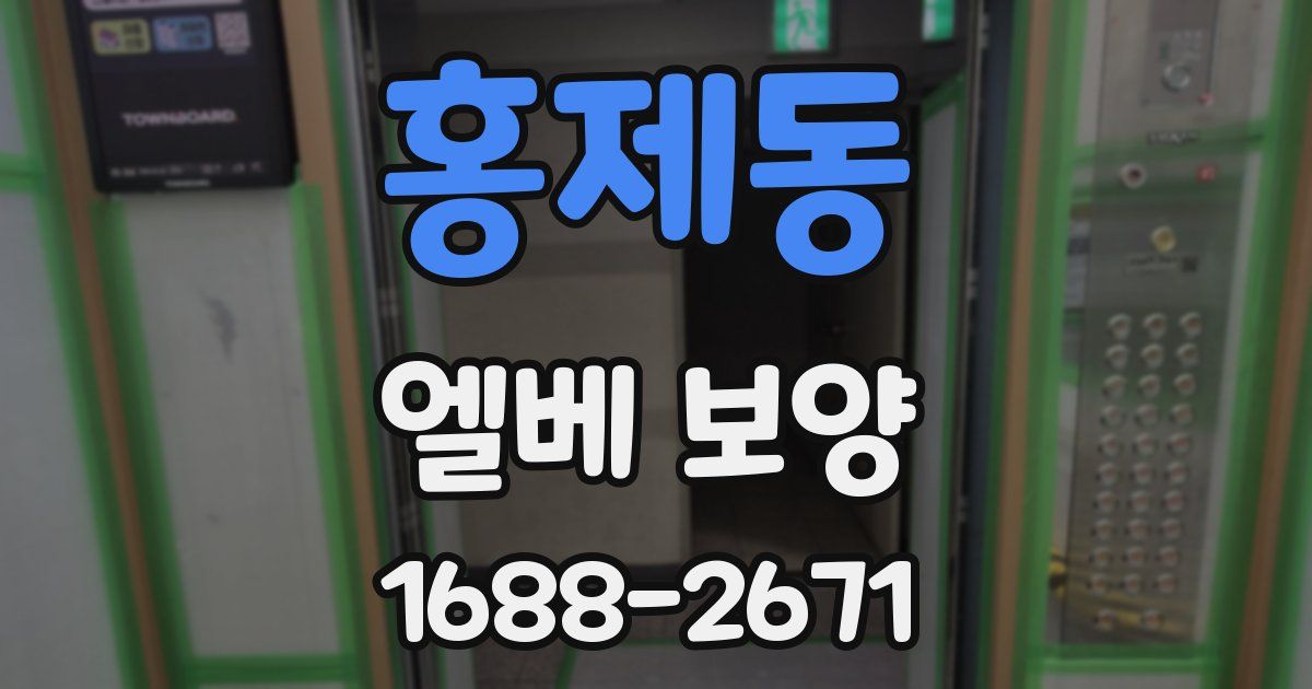홍제동 엘베 보양