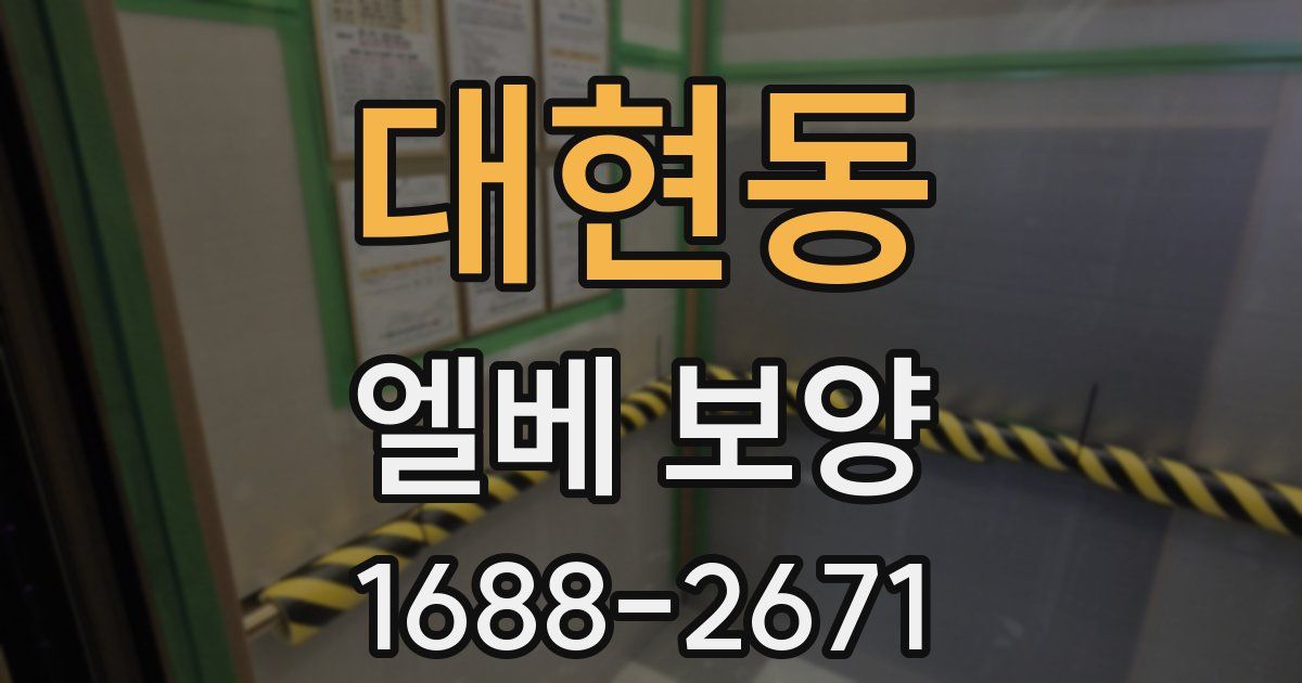 대현동 엘베 보양