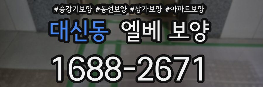 대신동 엘베 보양