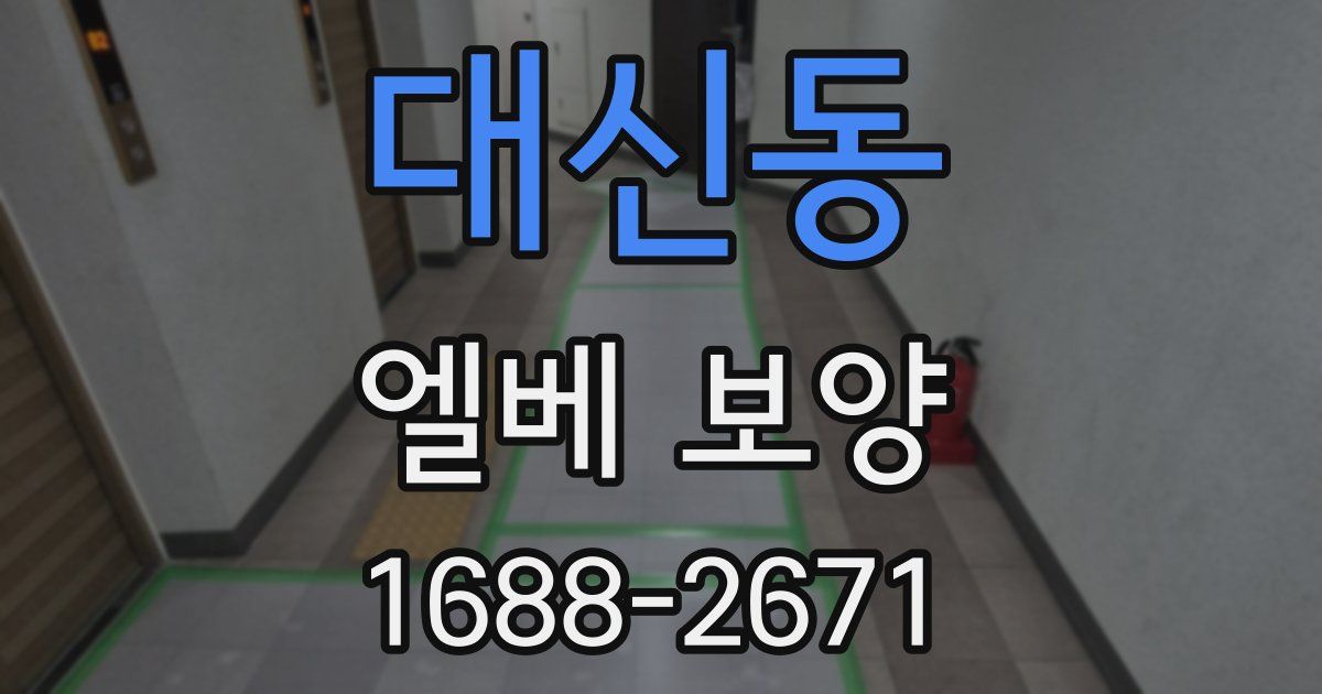 대신동 엘베 보양